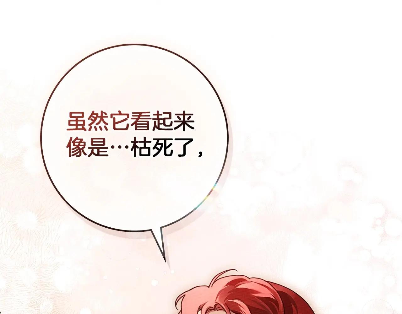 第78话 我要让你成为最尊贵的淑女 第91页
