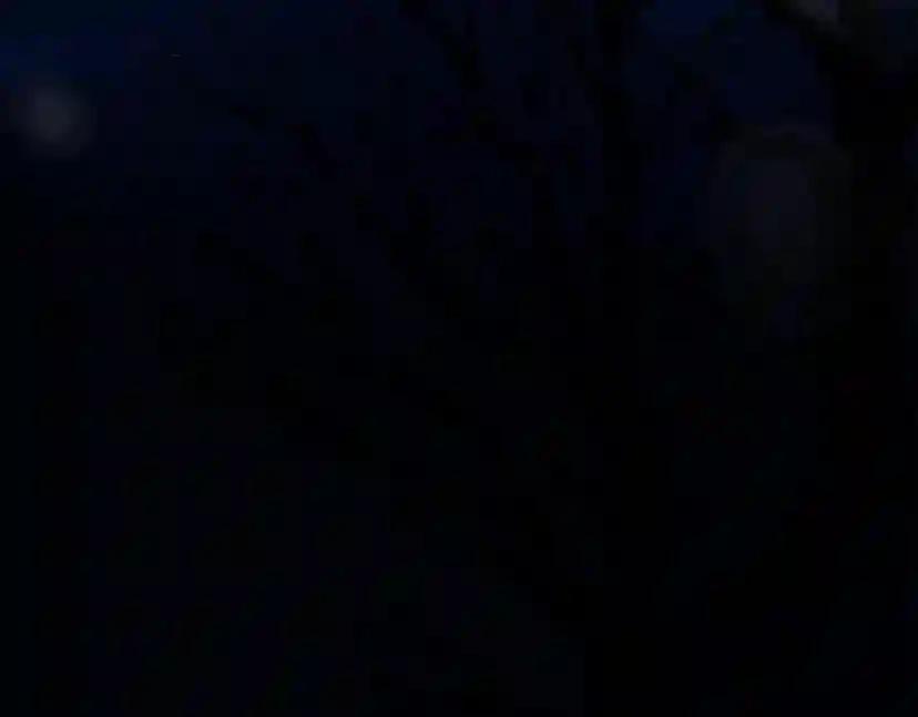 第40话 道歉 第294页