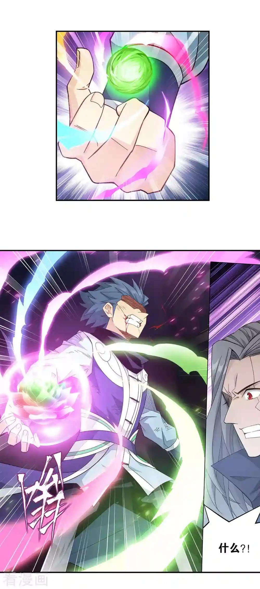 第899话 巅峰血脉 第10页