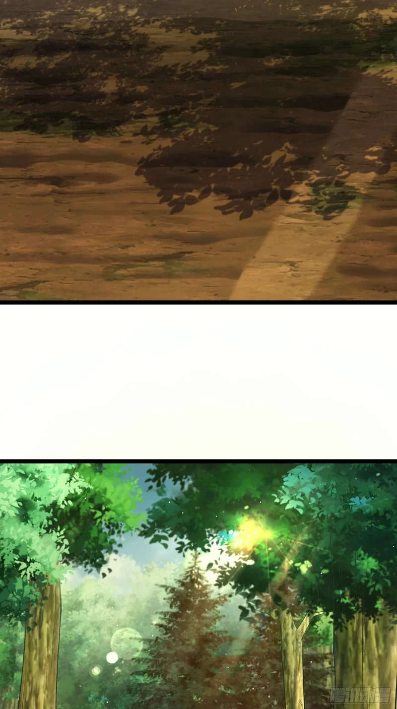15 第6页