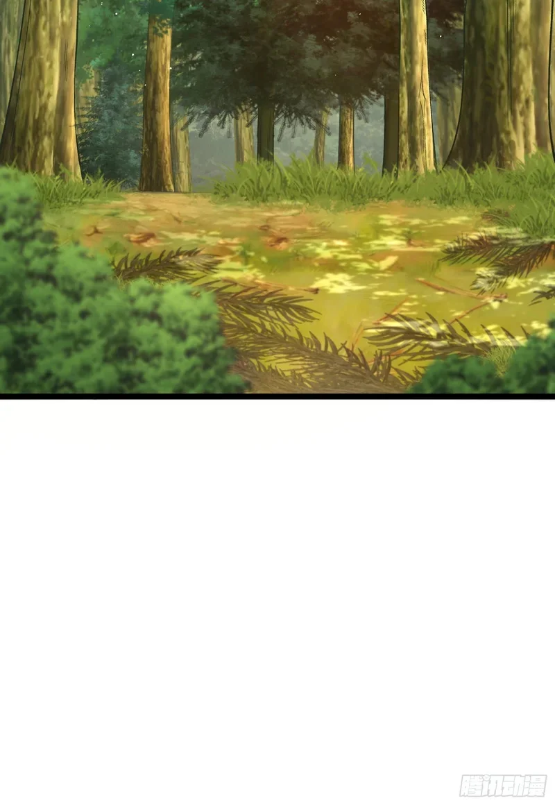 15 第7页