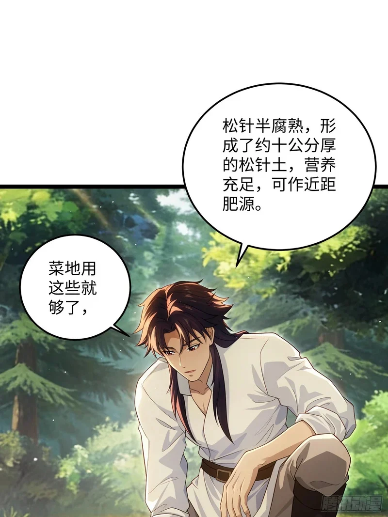15 第13页