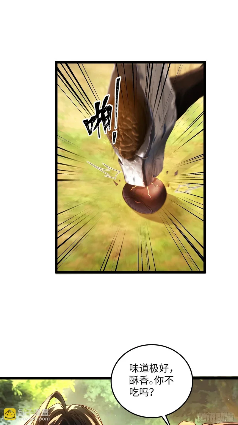 15 第17页