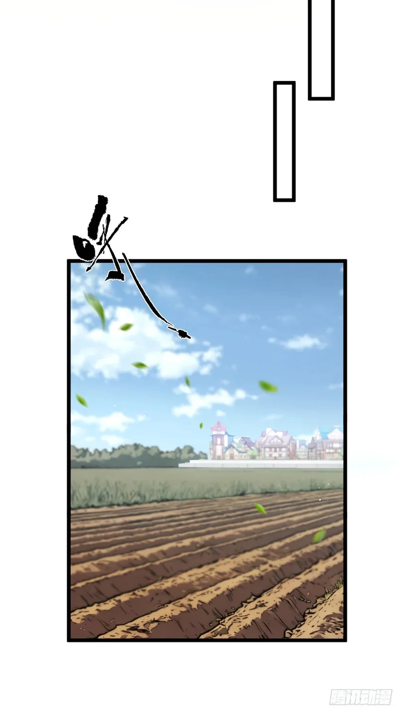 13 第6页