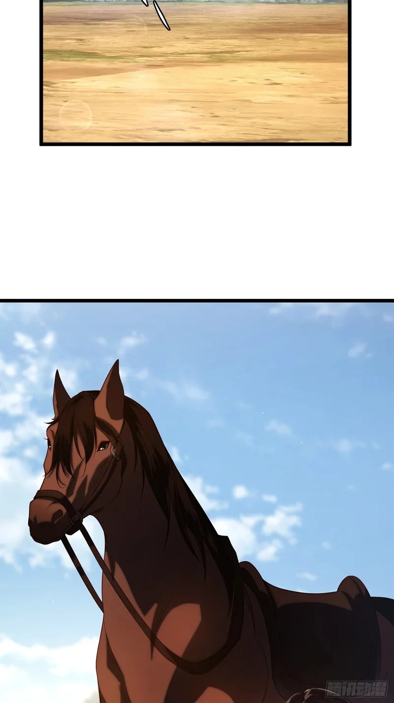 13 第12页