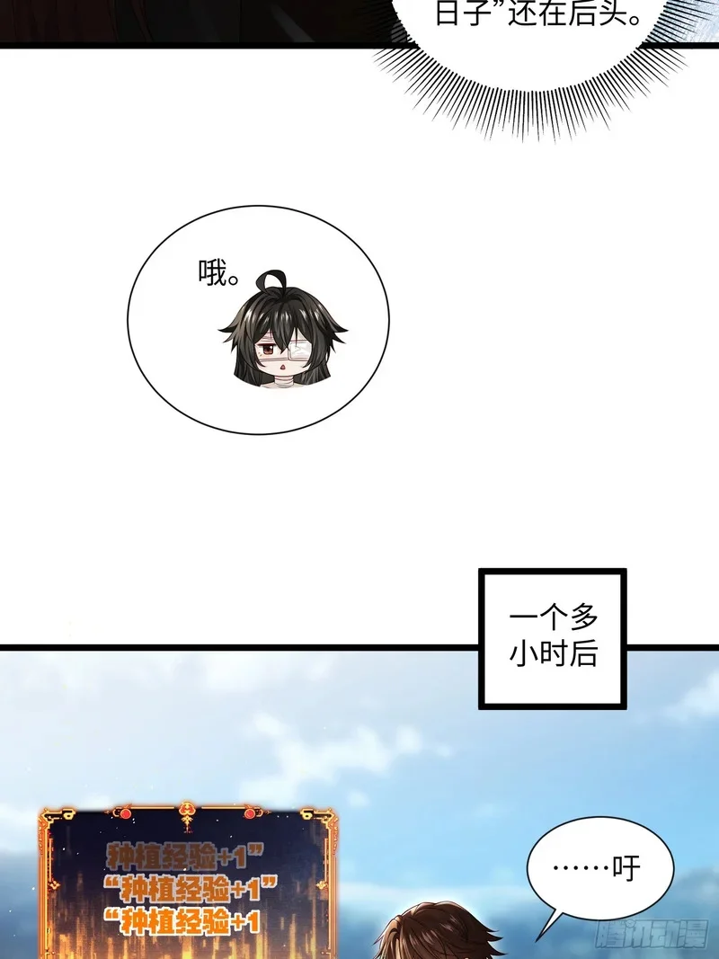 13 第33页