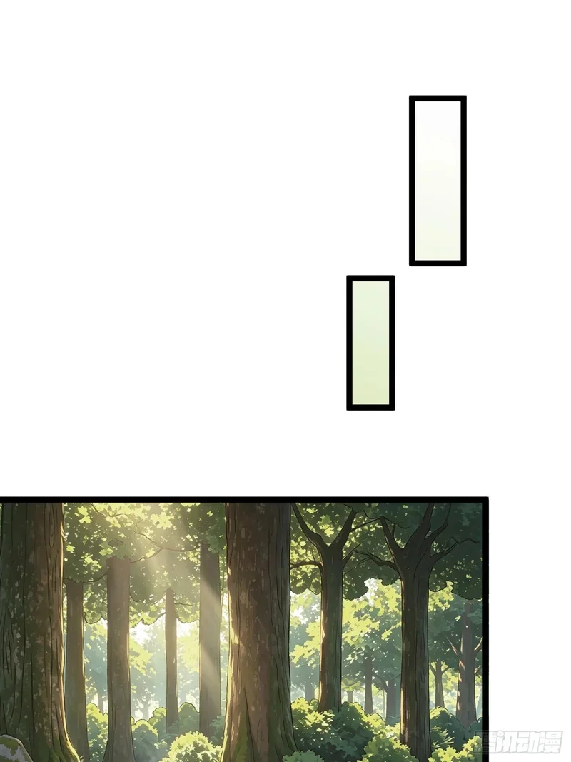 17 第19页