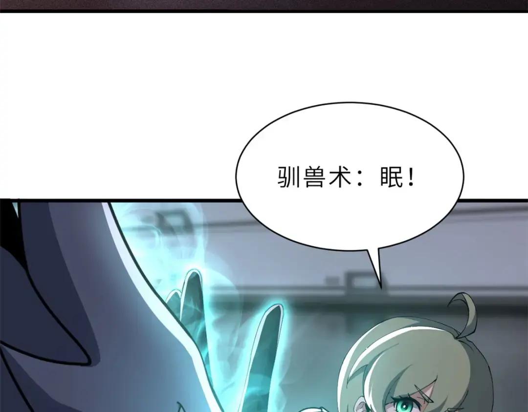 204 铁脊地龙兽 第41页