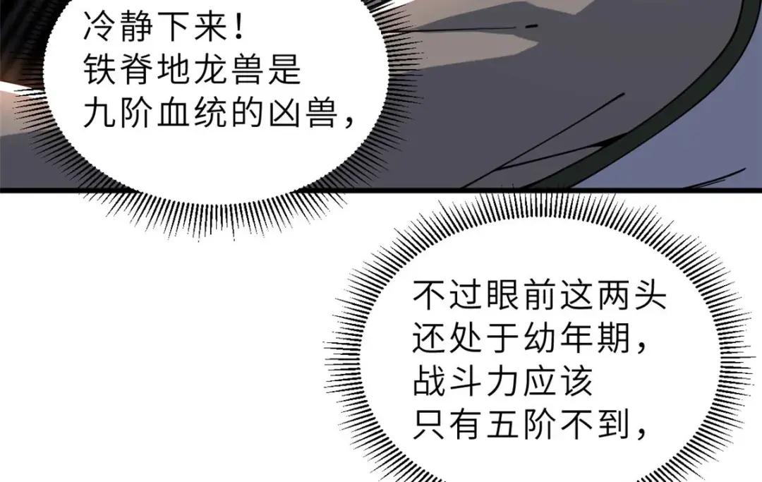 204 铁脊地龙兽 第69页