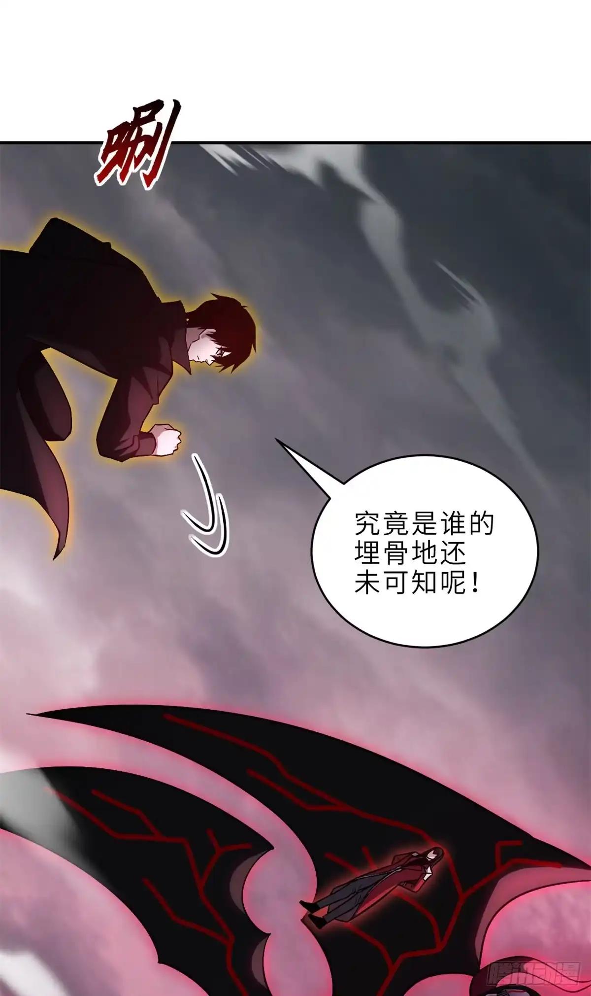 219 引雷入局 第27页