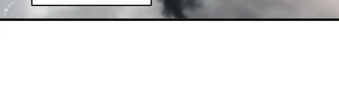 195 鱼死网破 第137页