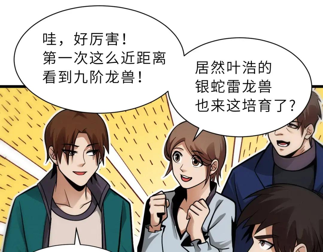 40 龙兽之间，亦有差距 第27页