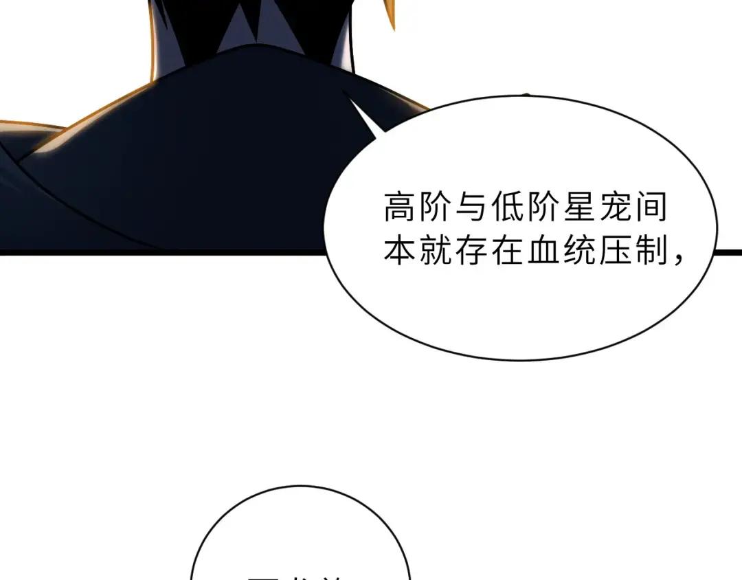 40 龙兽之间，亦有差距 第67页
