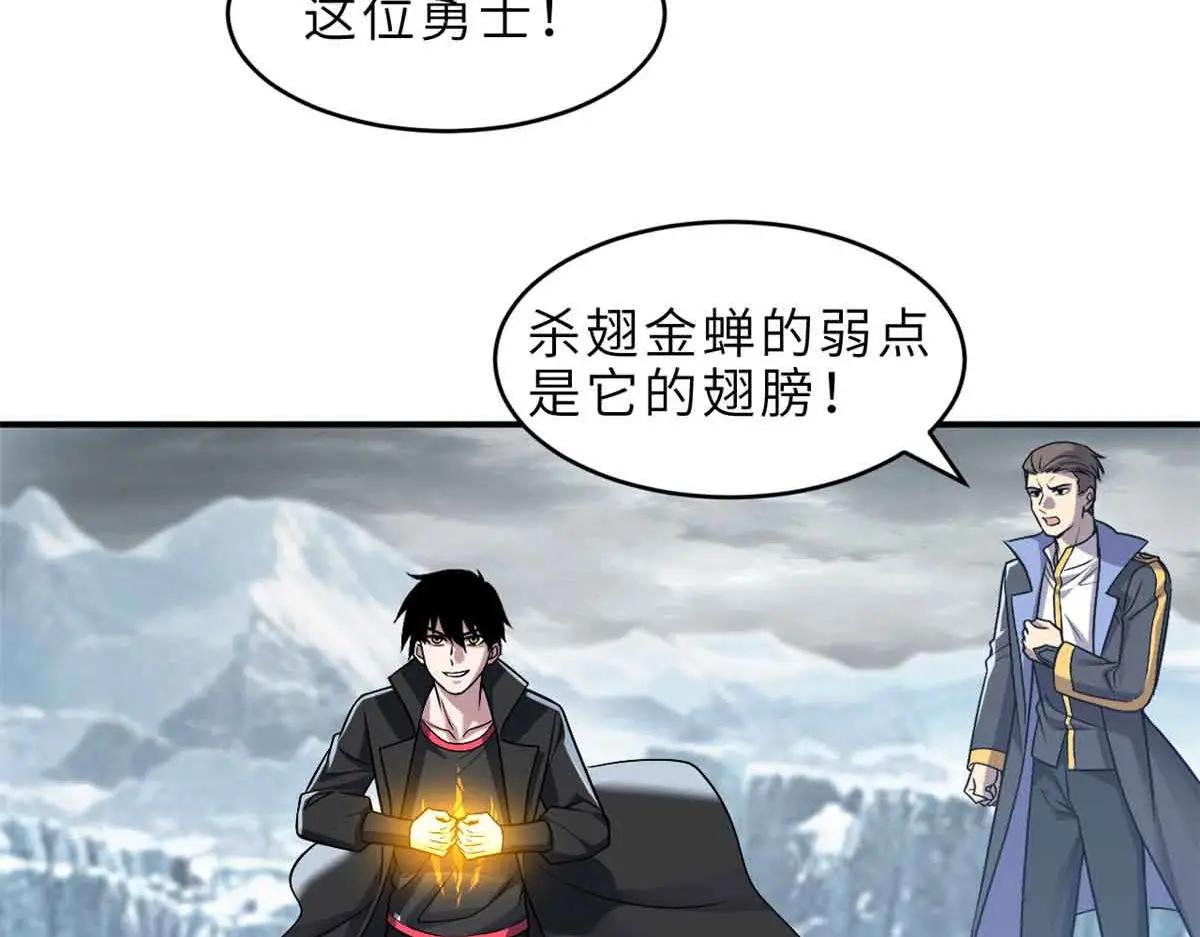 178 杀翅金蝉 第49页