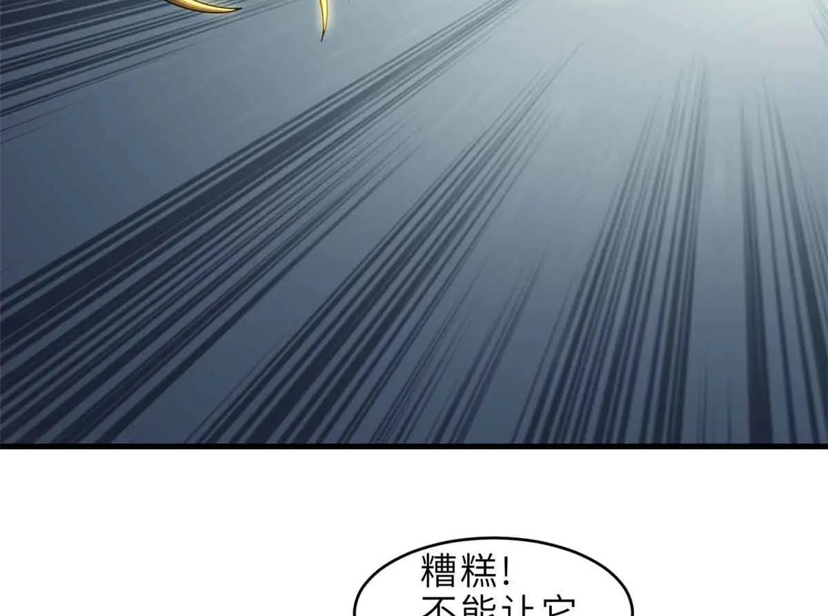 178 杀翅金蝉 第61页