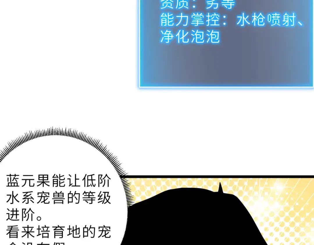 09 战宠师苏平！ 第104页