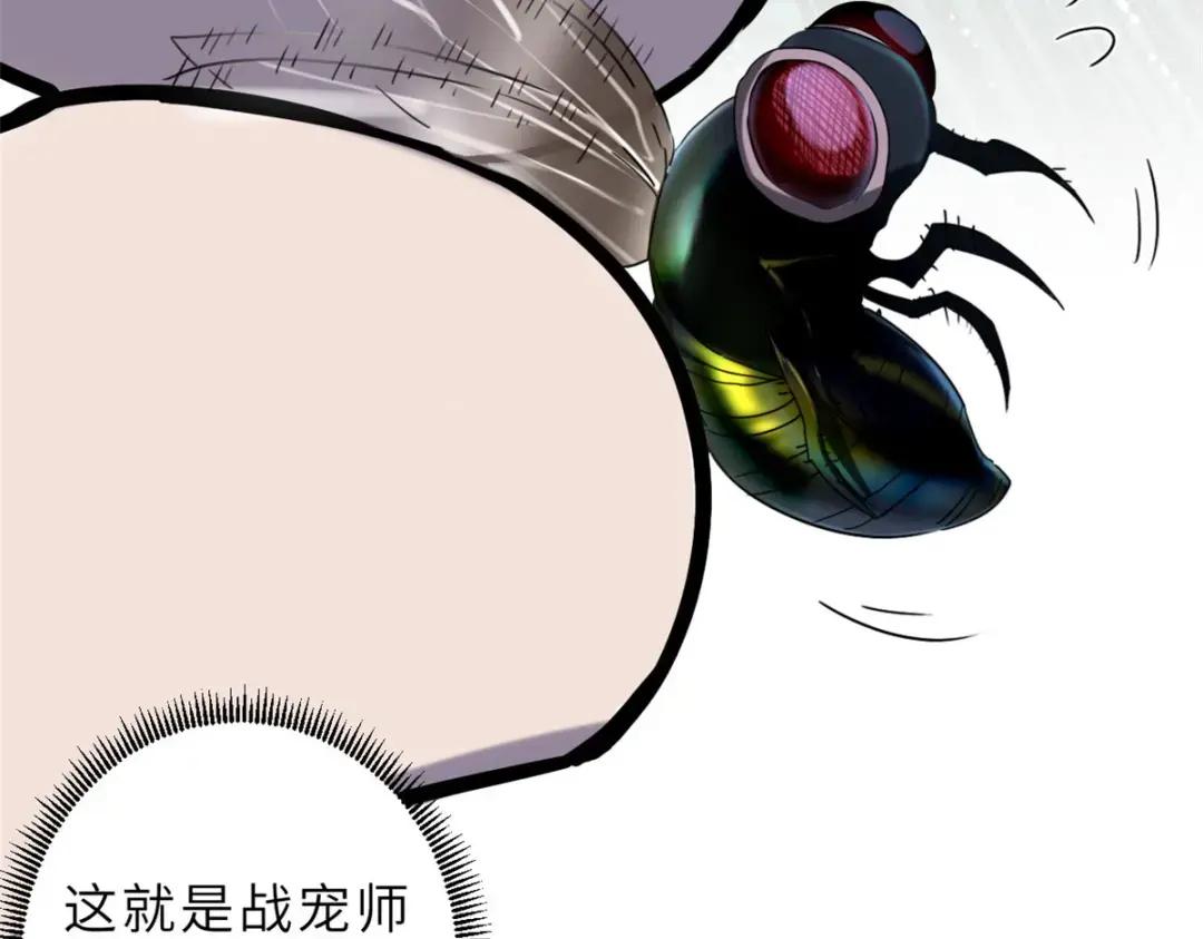 09 战宠师苏平！ 第185页