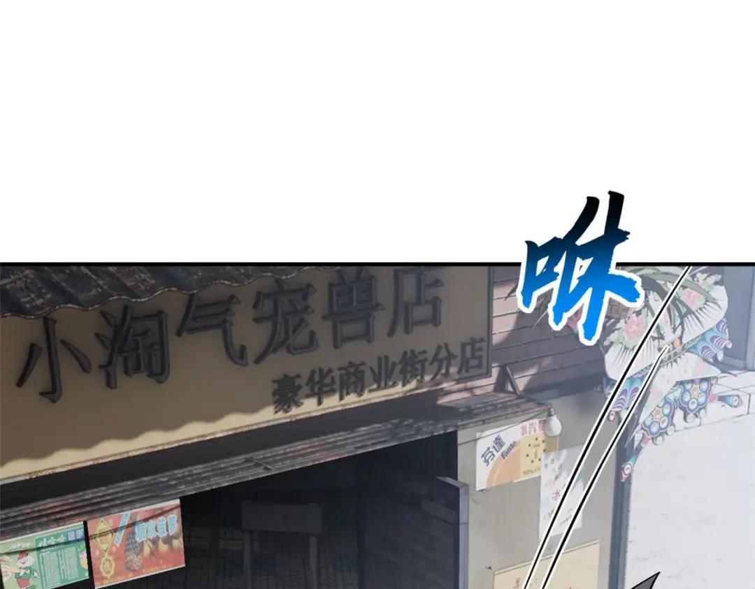 207 吸收 第52页