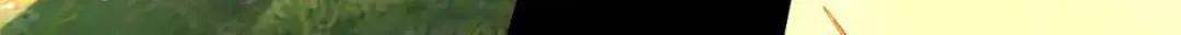 207 吸收 第179页