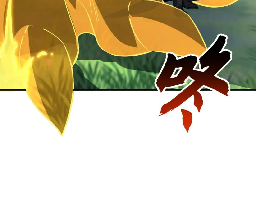 207 吸收 第203页
