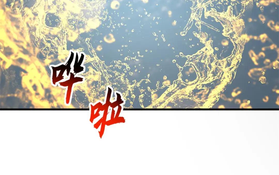207 吸收 第256页