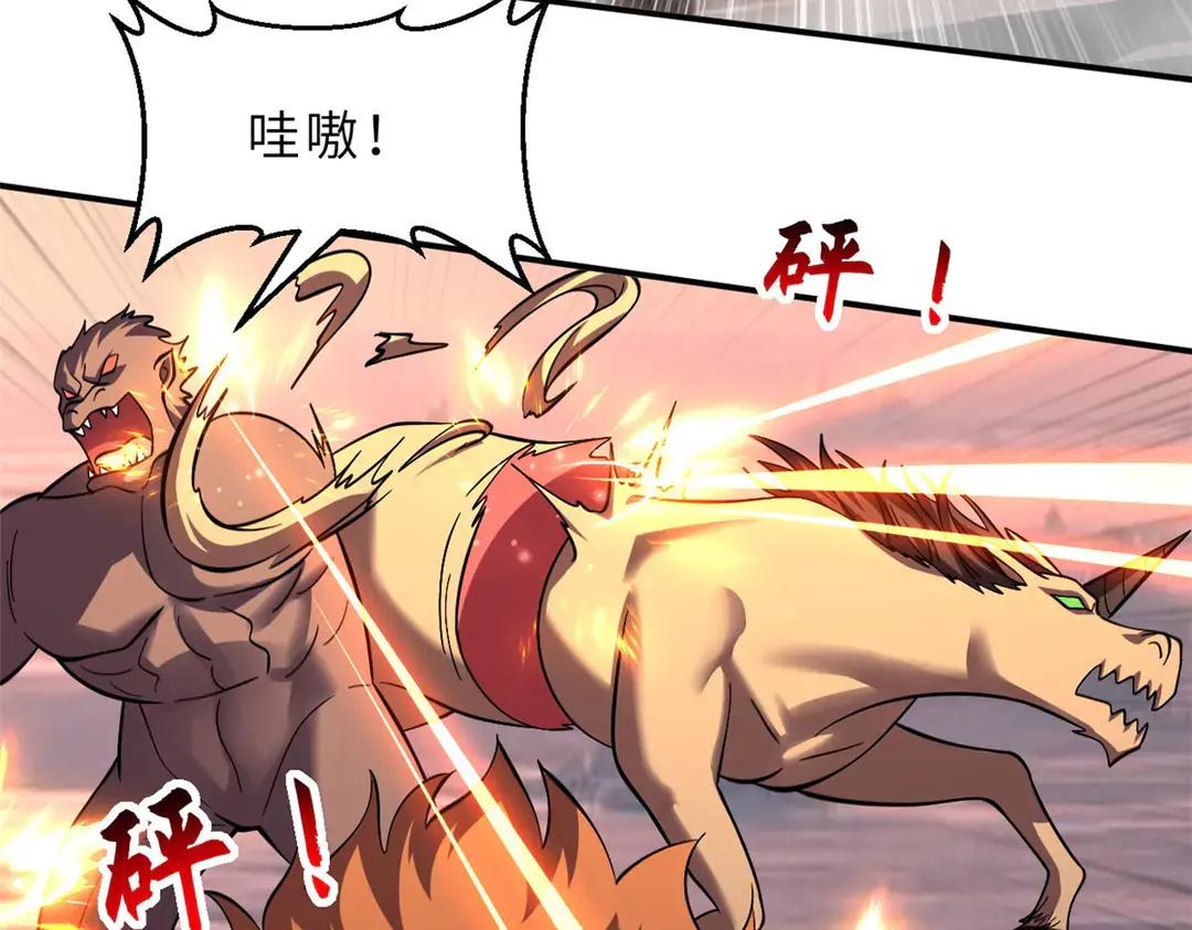 197 差别 第10页