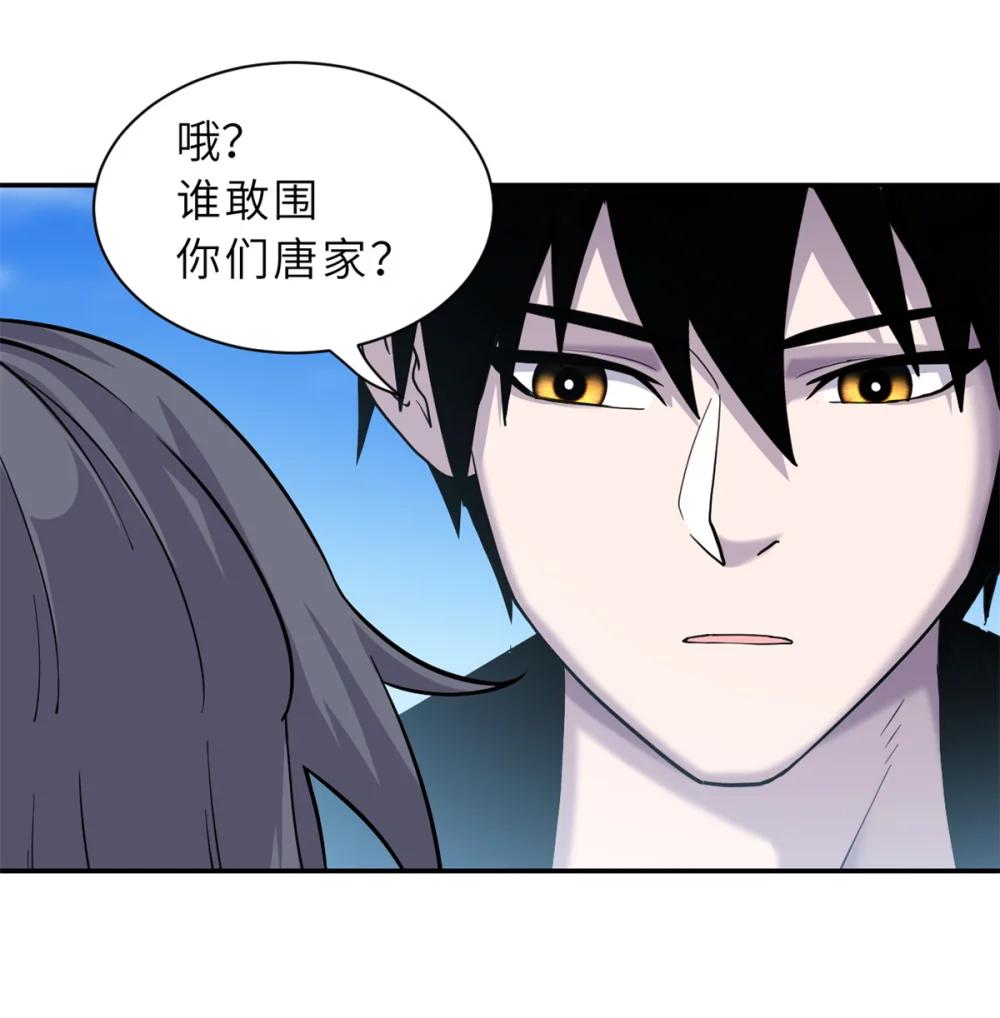 152 踏入传奇境！ 第47页