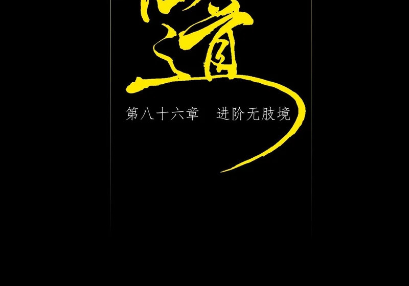 第八十六章 进阶无肢境 第8页