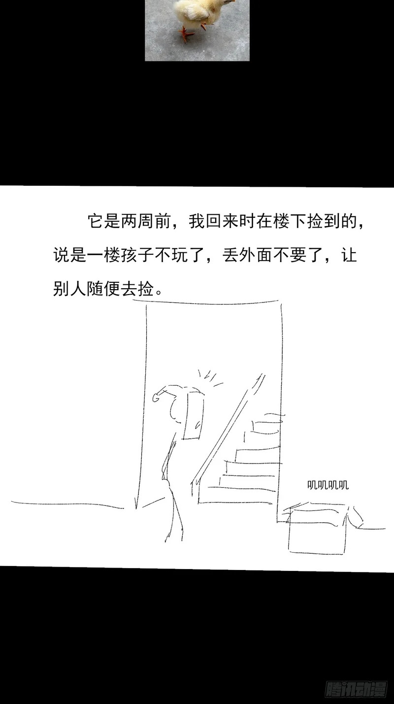 第九十一章 六寺 第47页