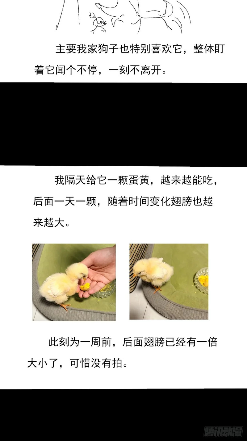 第九十一章 六寺 第50页