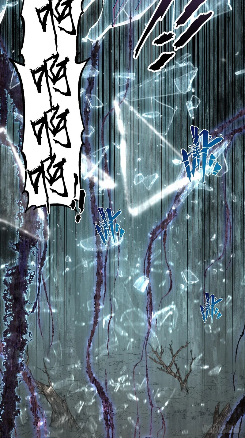 第八十章 怪树 第11页