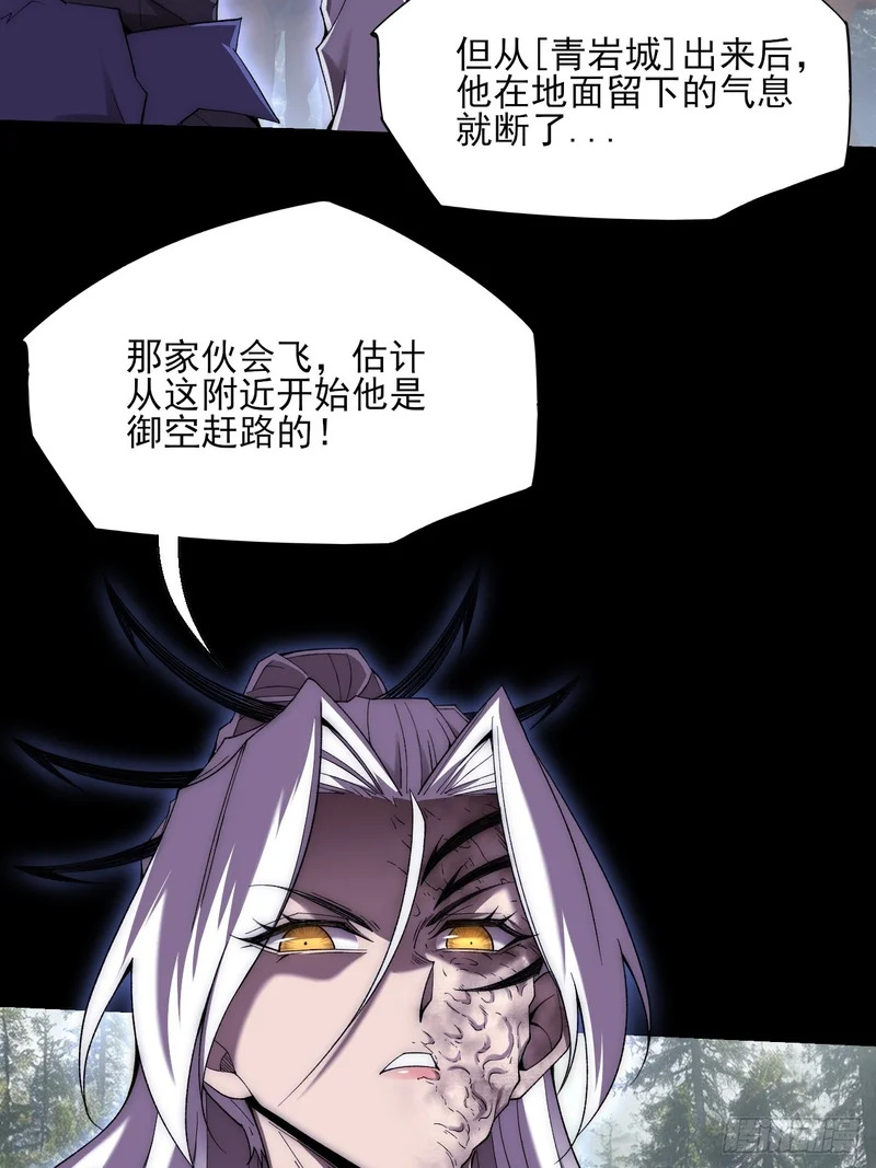 第七十六章 神秘虚影 第29页