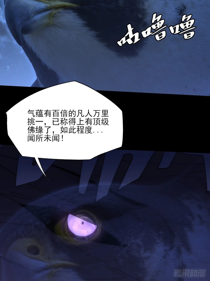 第九十四章 万畜道 第6页