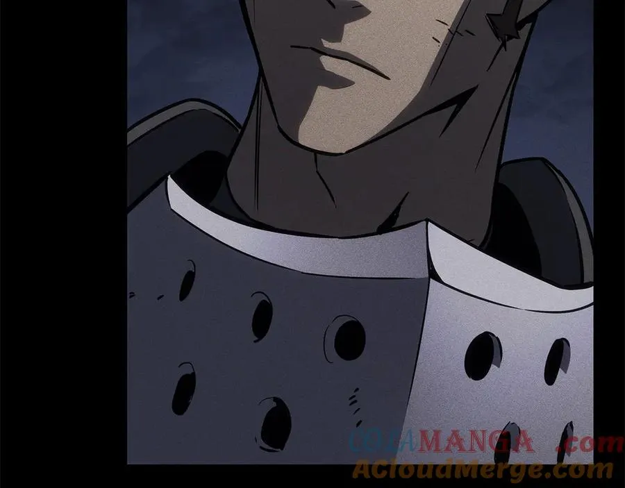 第102话 归还荣耀 第217页