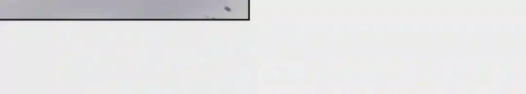 第149话 武林盟主 第66页