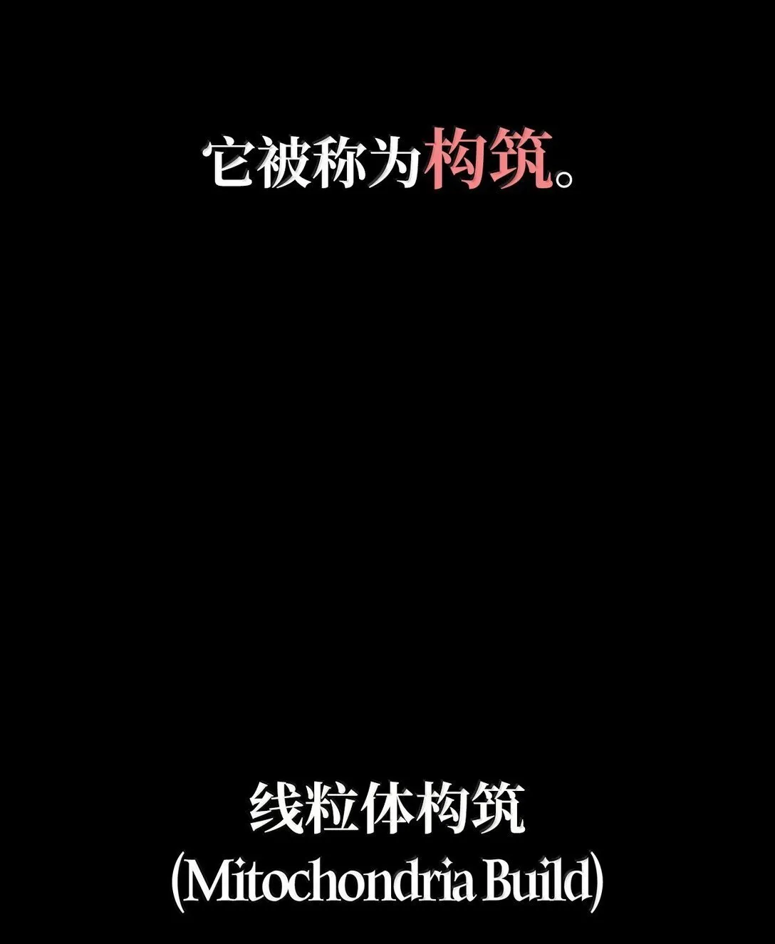 76 线粒体构筑 第30页