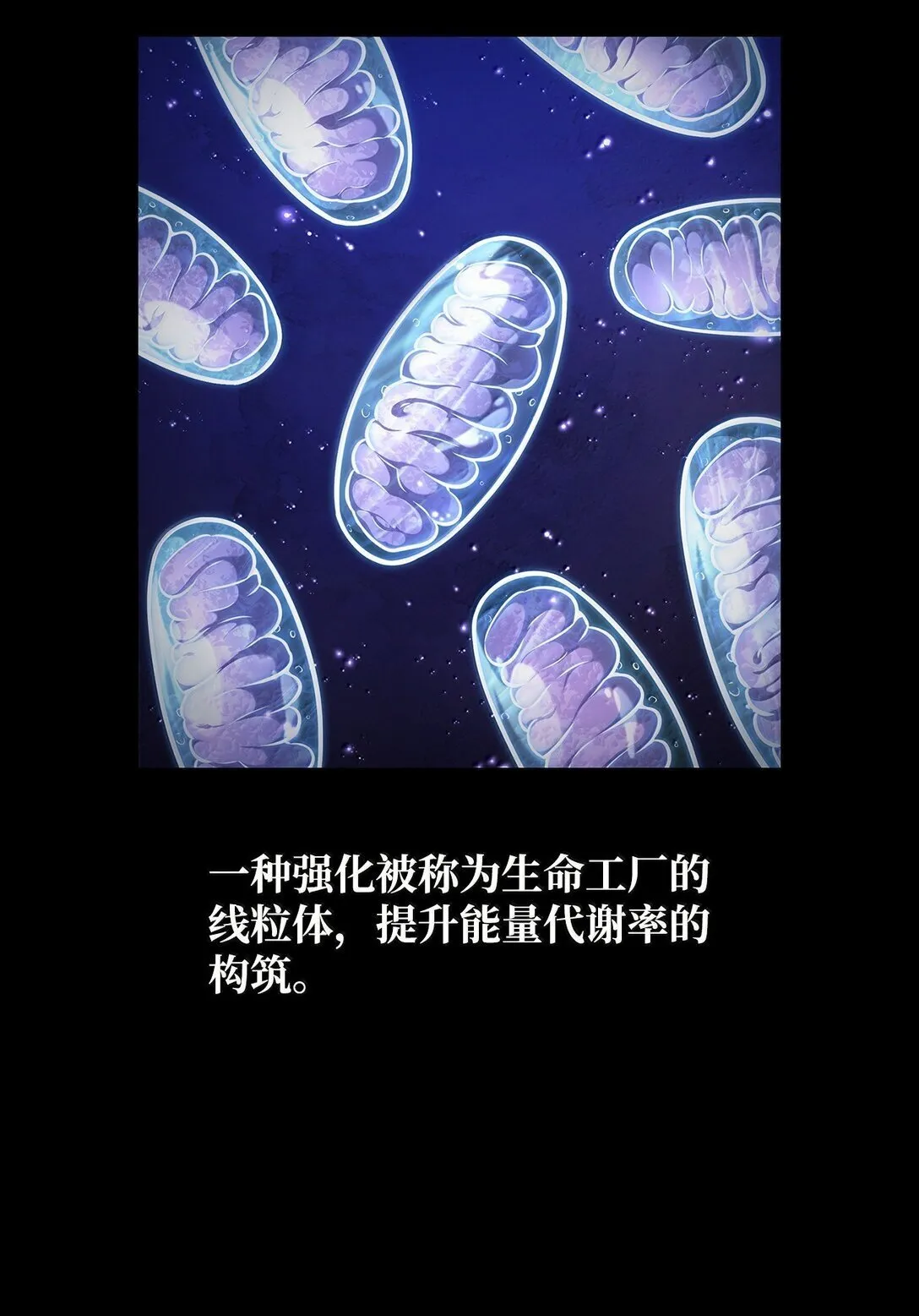 76 线粒体构筑 第31页