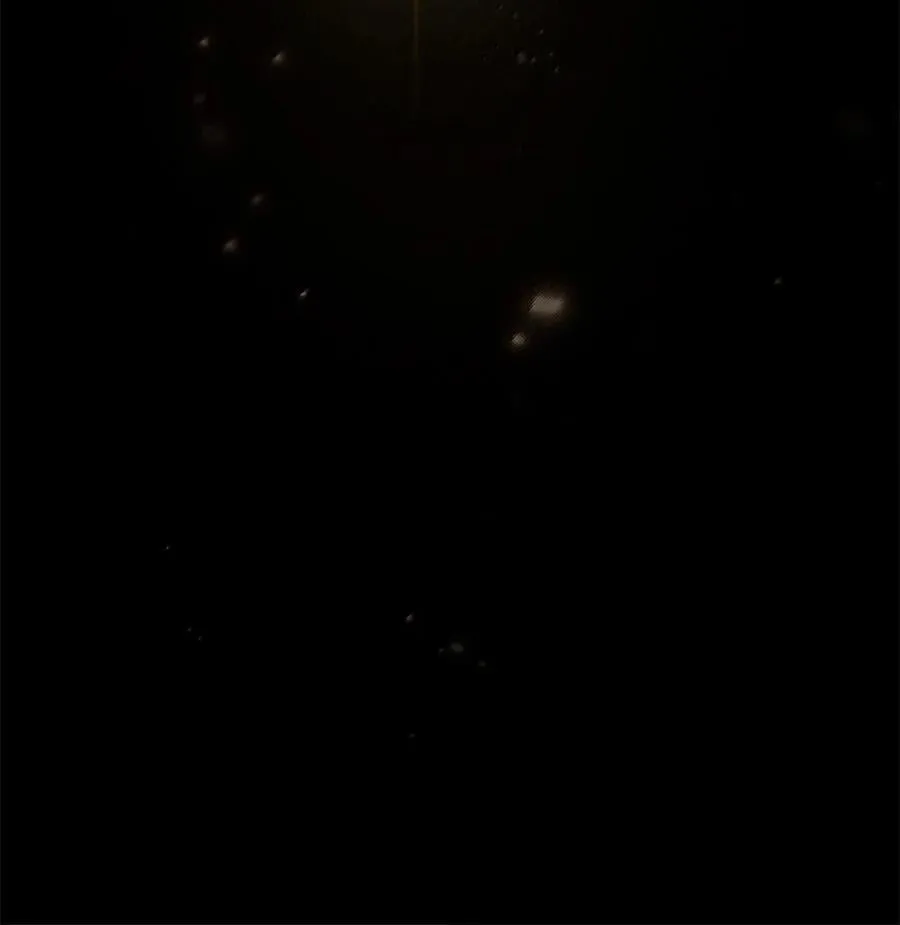86 牺牲 第71页