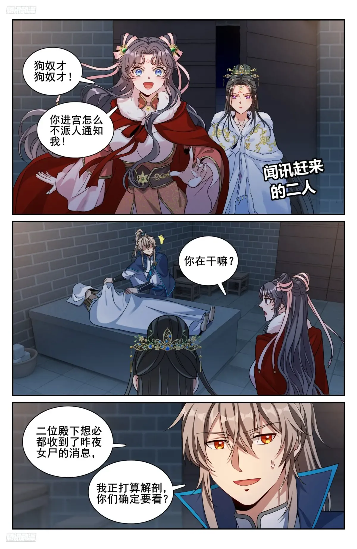 311解剖 第3页