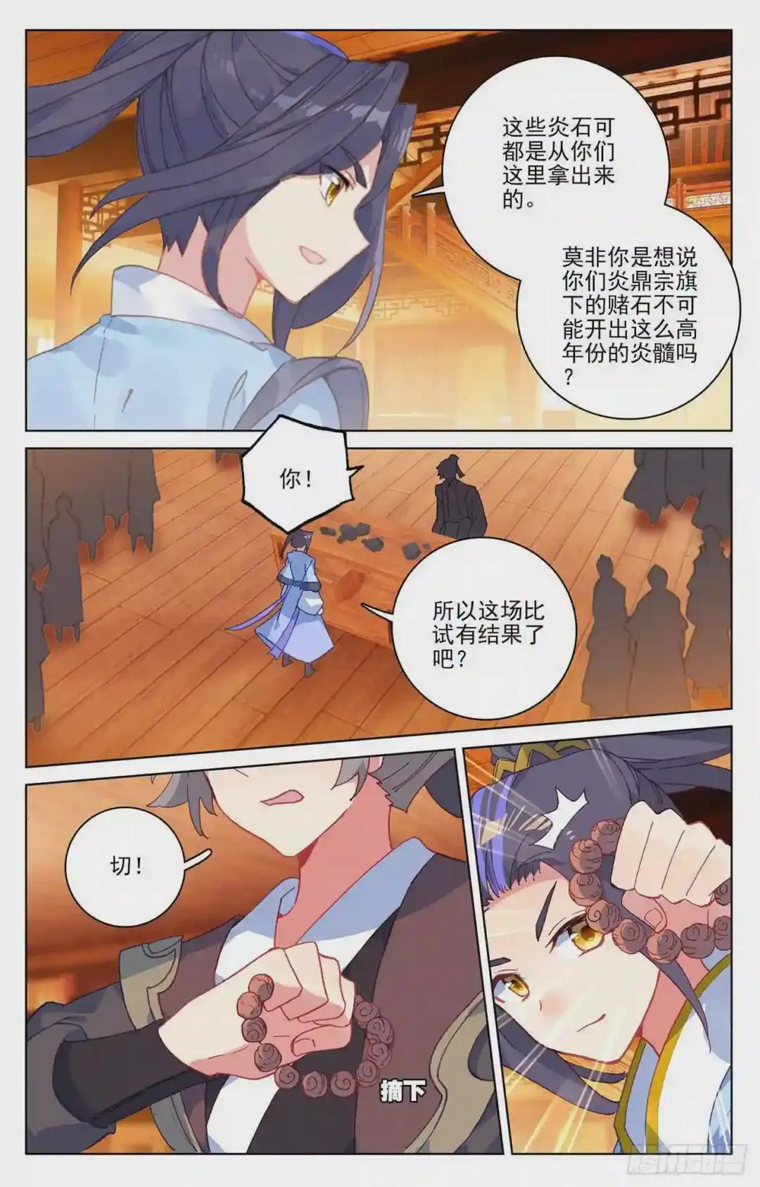 第222话:赌炎石 下 第6页