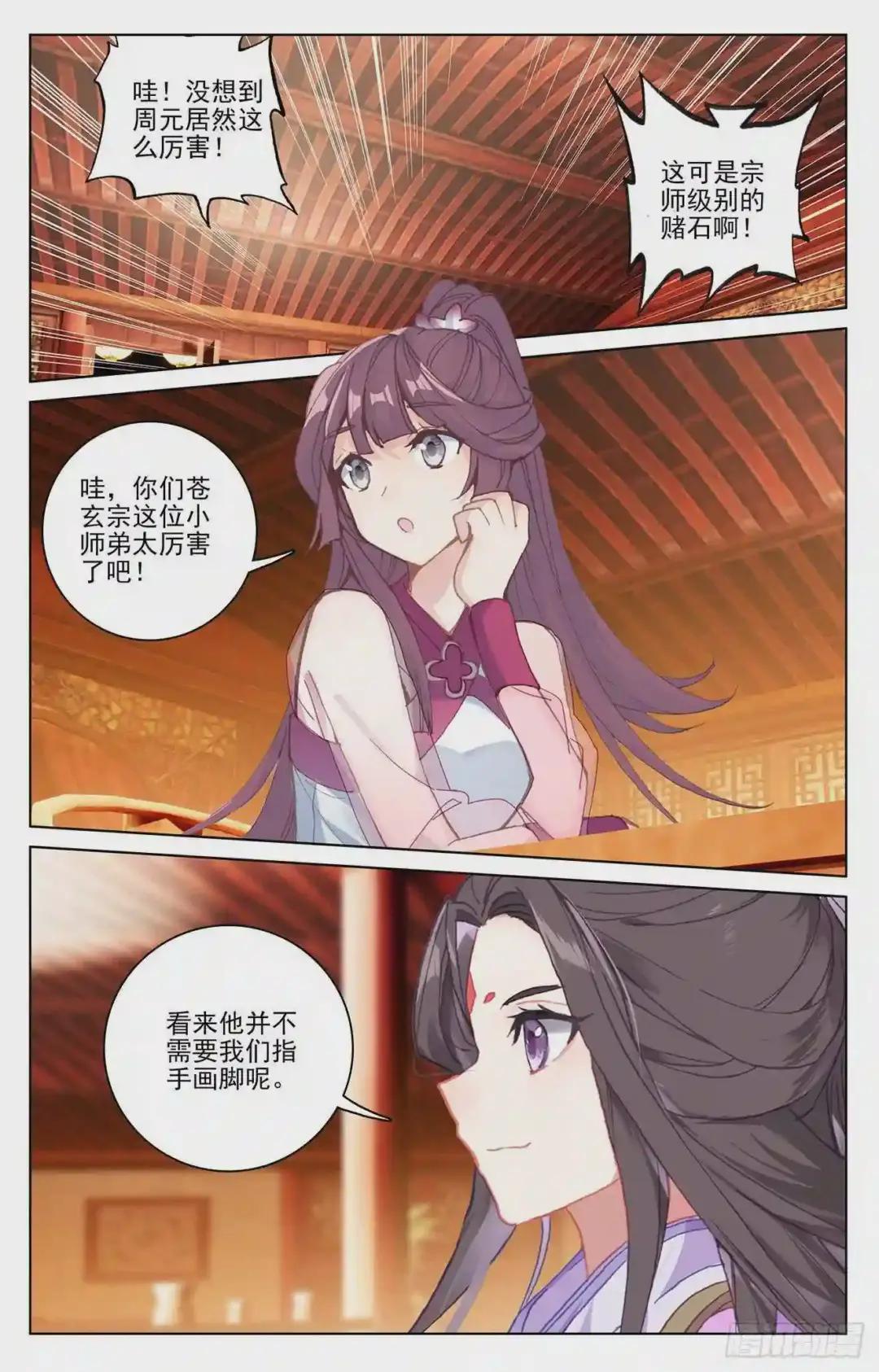 第222话:赌炎石 下 第8页