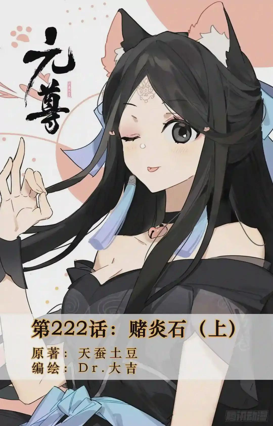第222话:赌炎石 上 第1页
