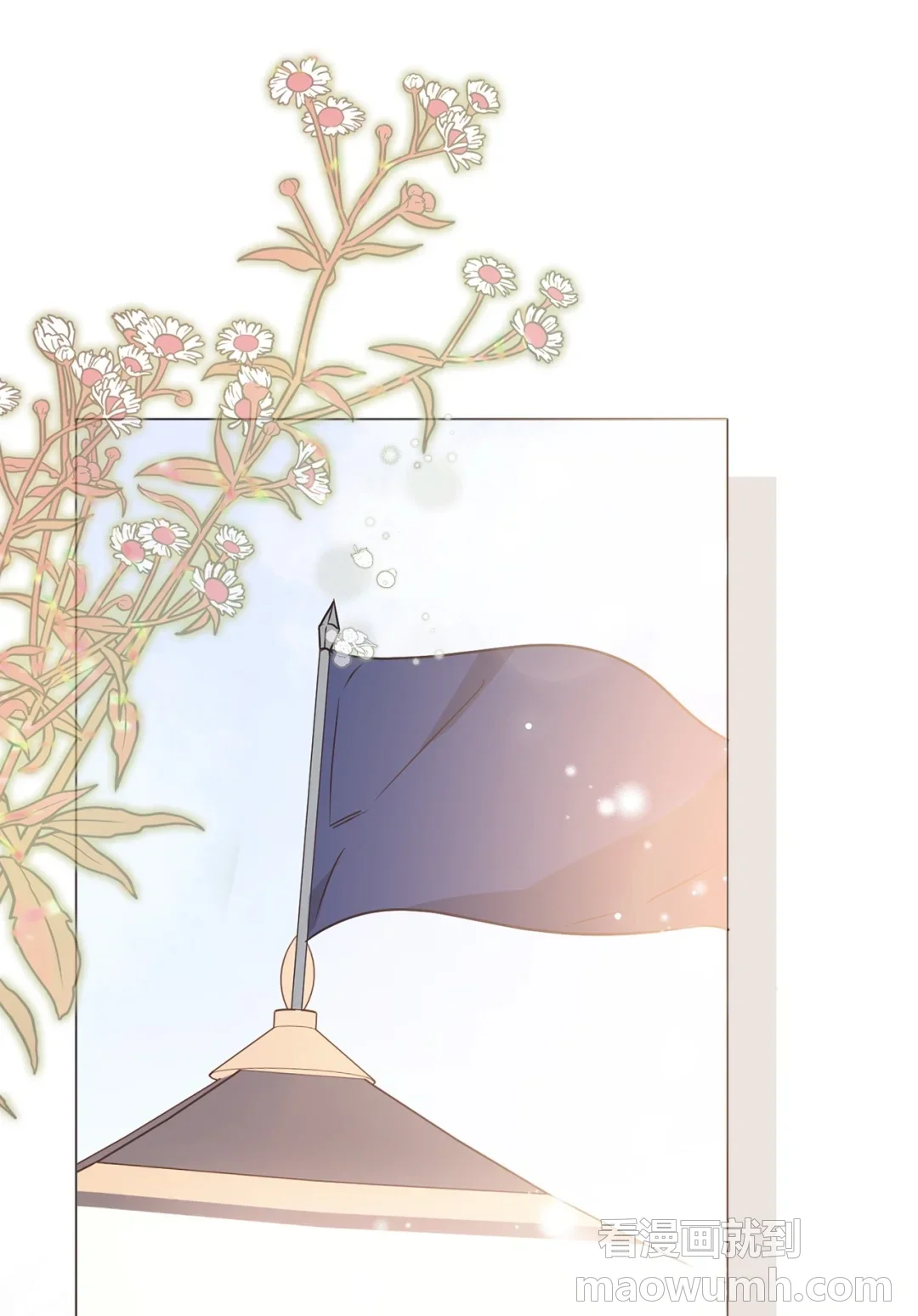 护主 第1页