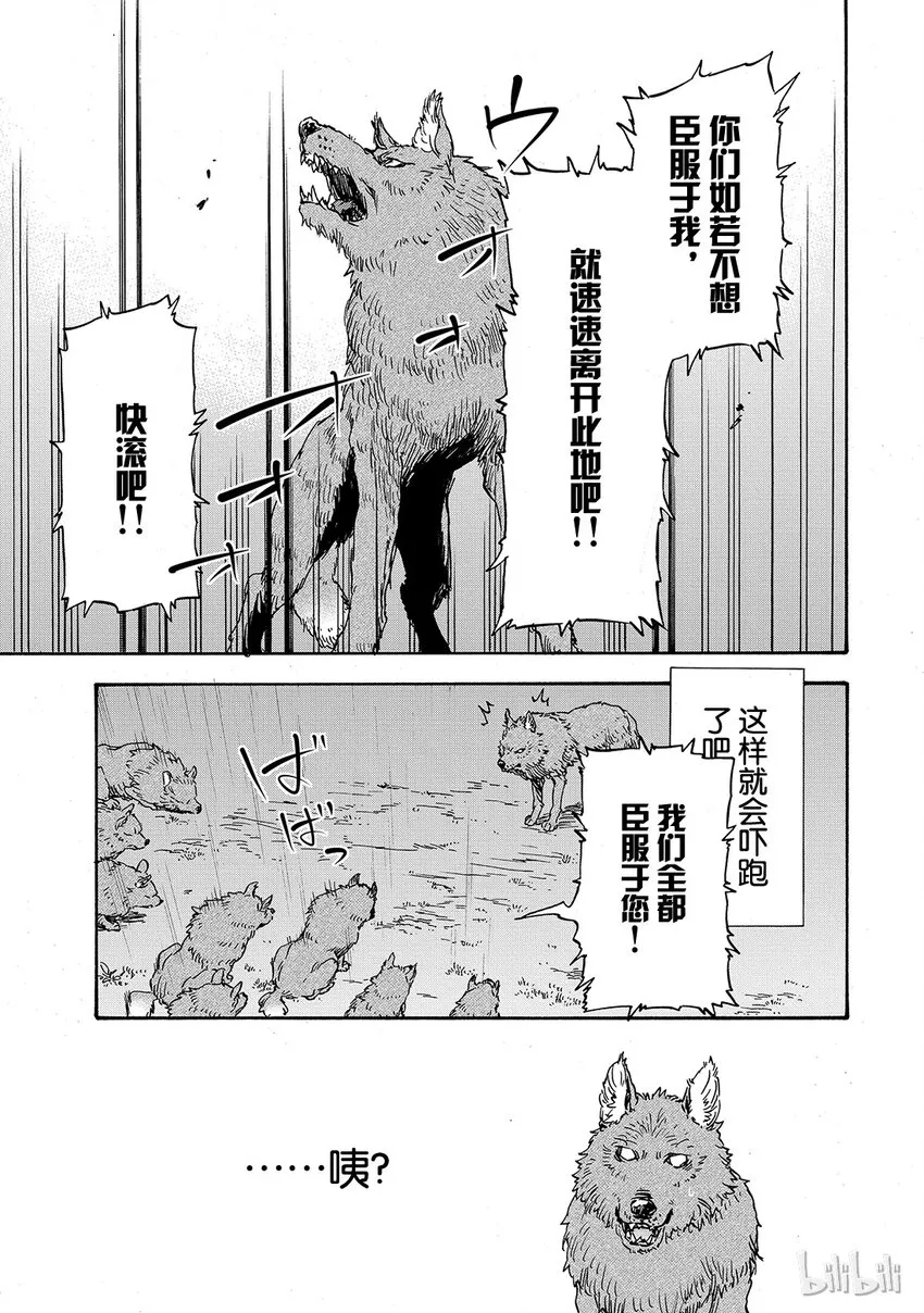 003 3 第23页