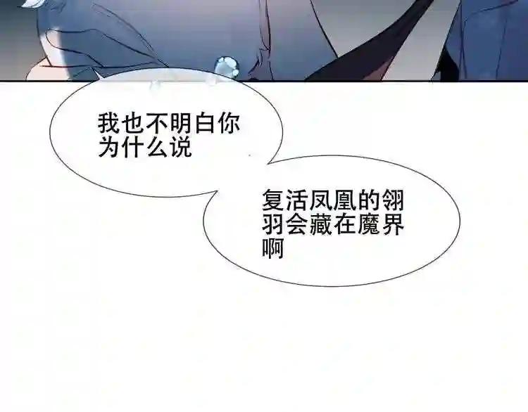 第122话 凤凰和神明们的故事 第28页