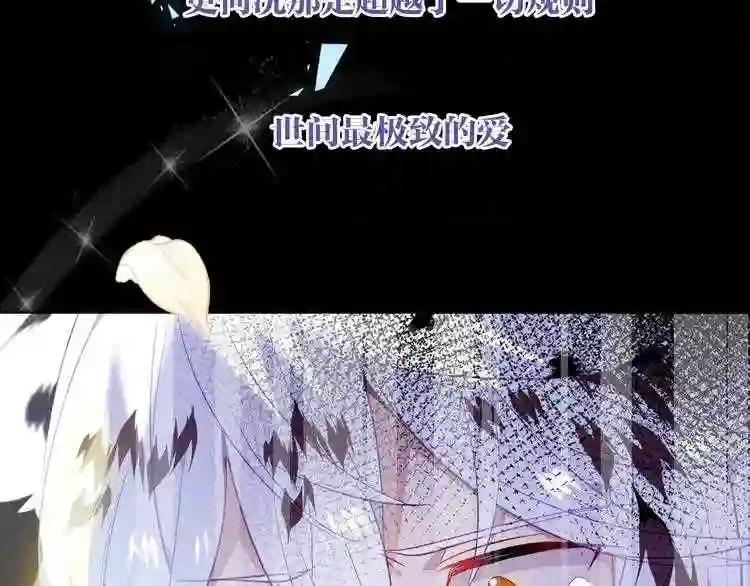 第164话 白与希 第59页