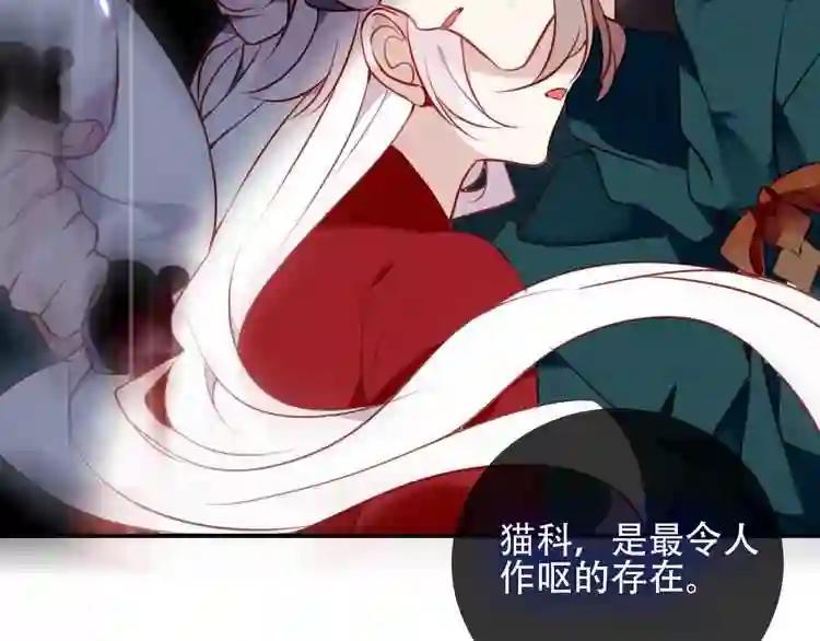 第68话 神的罪行 第41页