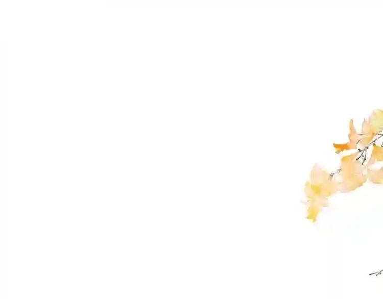 第44话 灯下轻吻 第11页