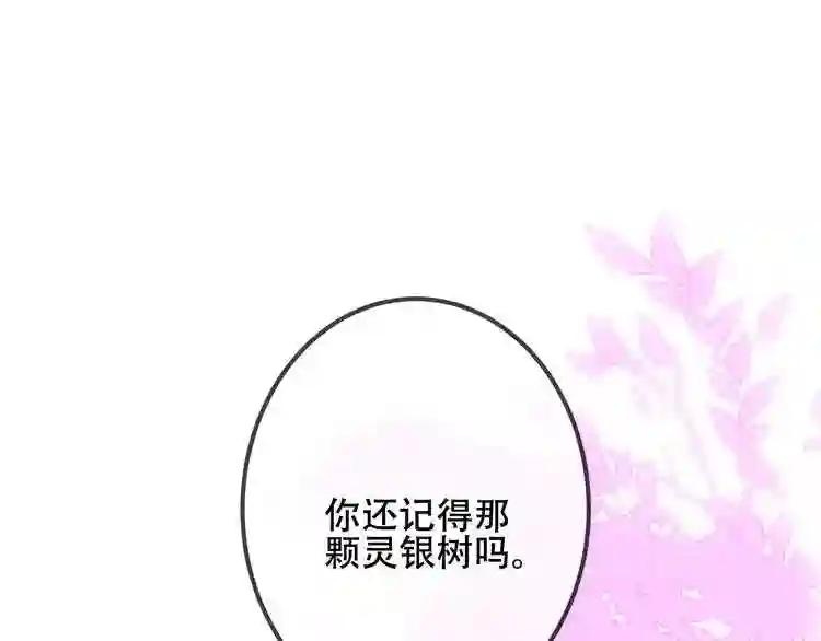 第40话 两个都给我拿下! 第1页