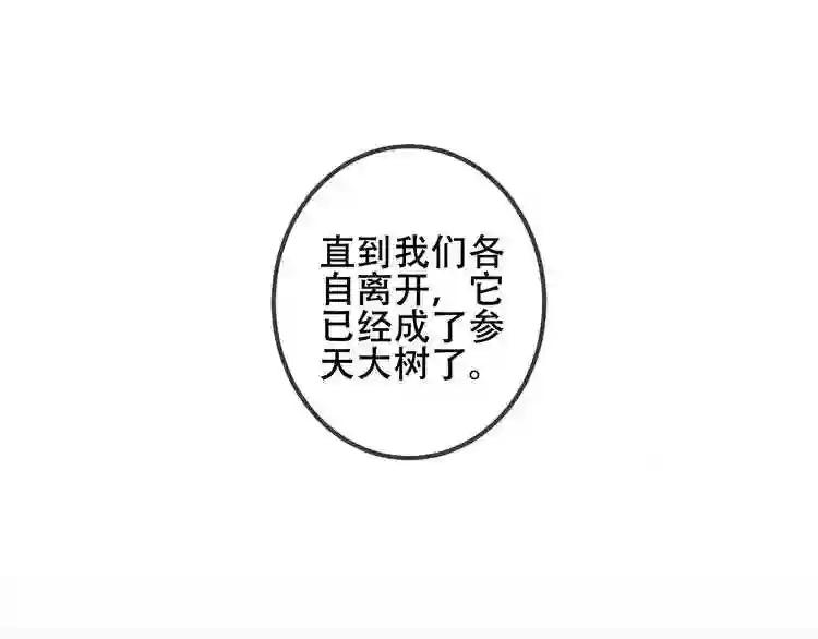 第40话 两个都给我拿下! 第15页
